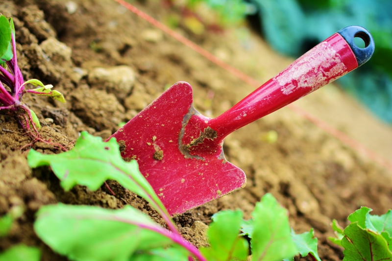 jardinerie-CHATEAUVERT-min_gardening-2448134